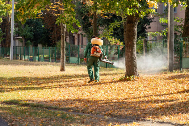 Reliable Stevenson Ranch, CA Pest Control Solutions
