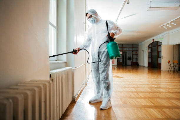Pest Prevention Services in Stevenson Ranch, CA