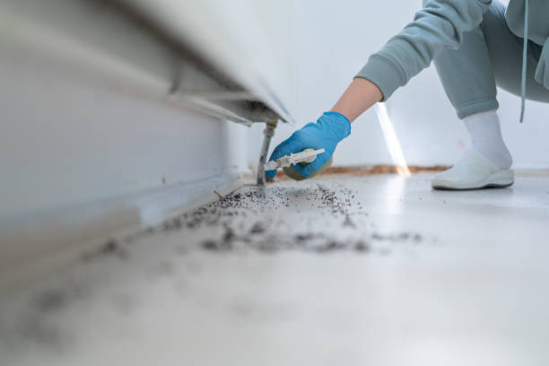 Best Pest Removal Services  in Stevenson Ranch, CA